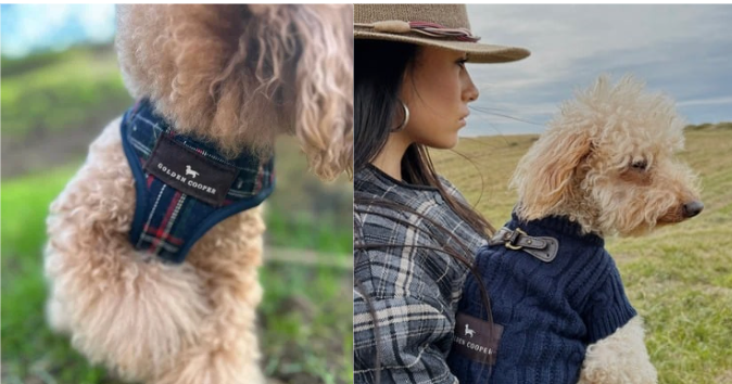 Jersey Para Perro Grande Con Cuello Alto - Abrigo Cálido Para Labrador, Golden Retriever O Border Collie, Talla XL Rojo