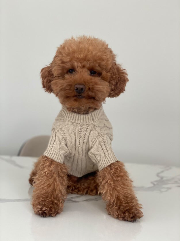 Jersey Cozy - Golden Cooper