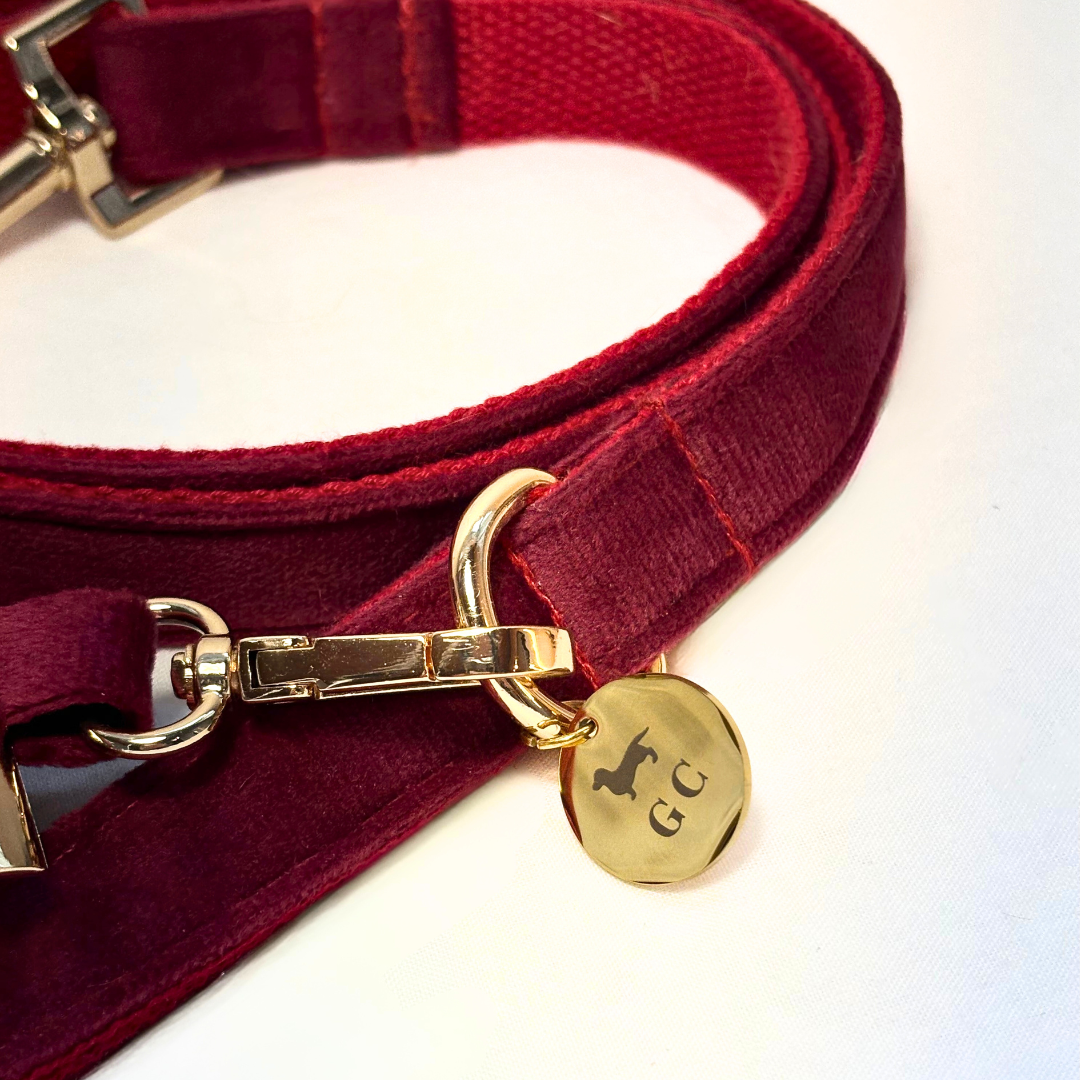 Conjunto Velvet® - Arnés, porta bolsas y correa. - Golden Cooper