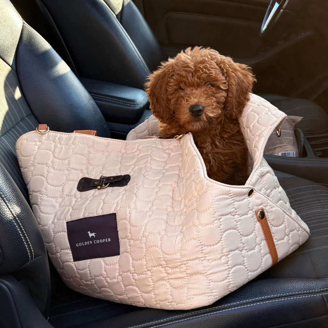 Transportar Perros Bolsos Para Llevar Bichon Maltes Transportín