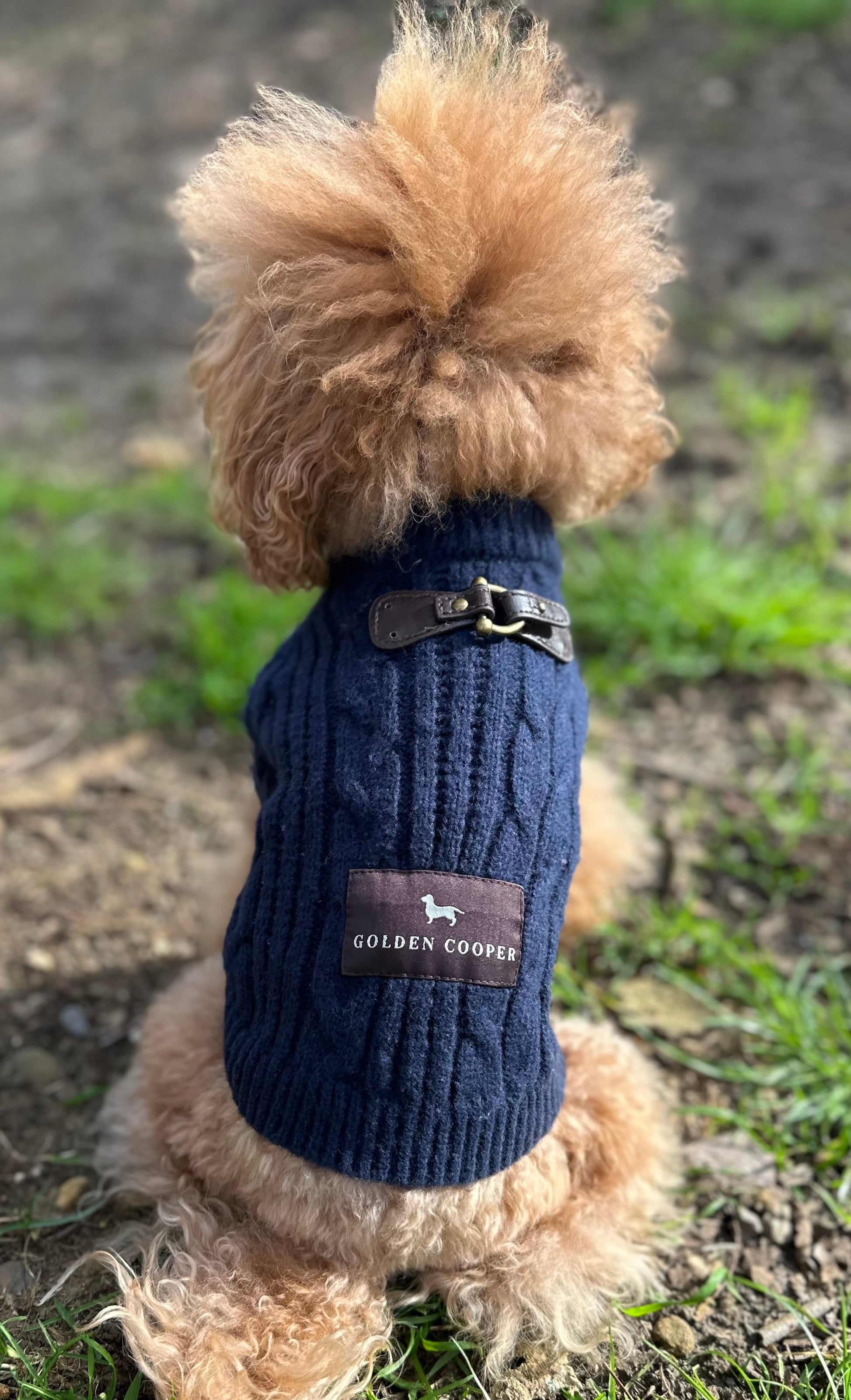 Jersey Cozy - Golden Cooper