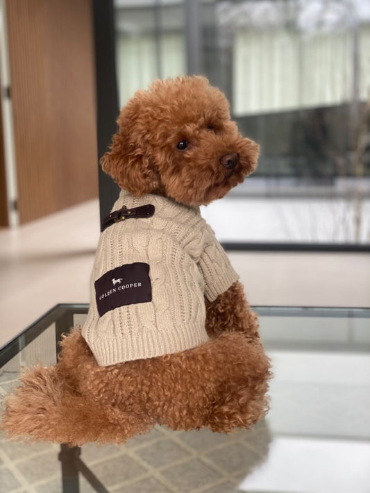 Jersey Cozy - Golden Cooper