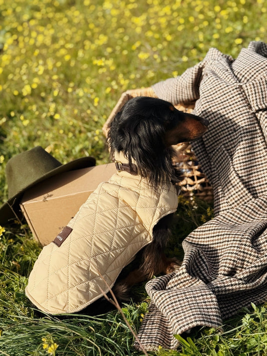 Abrigo tartán beige - Golden Cooper