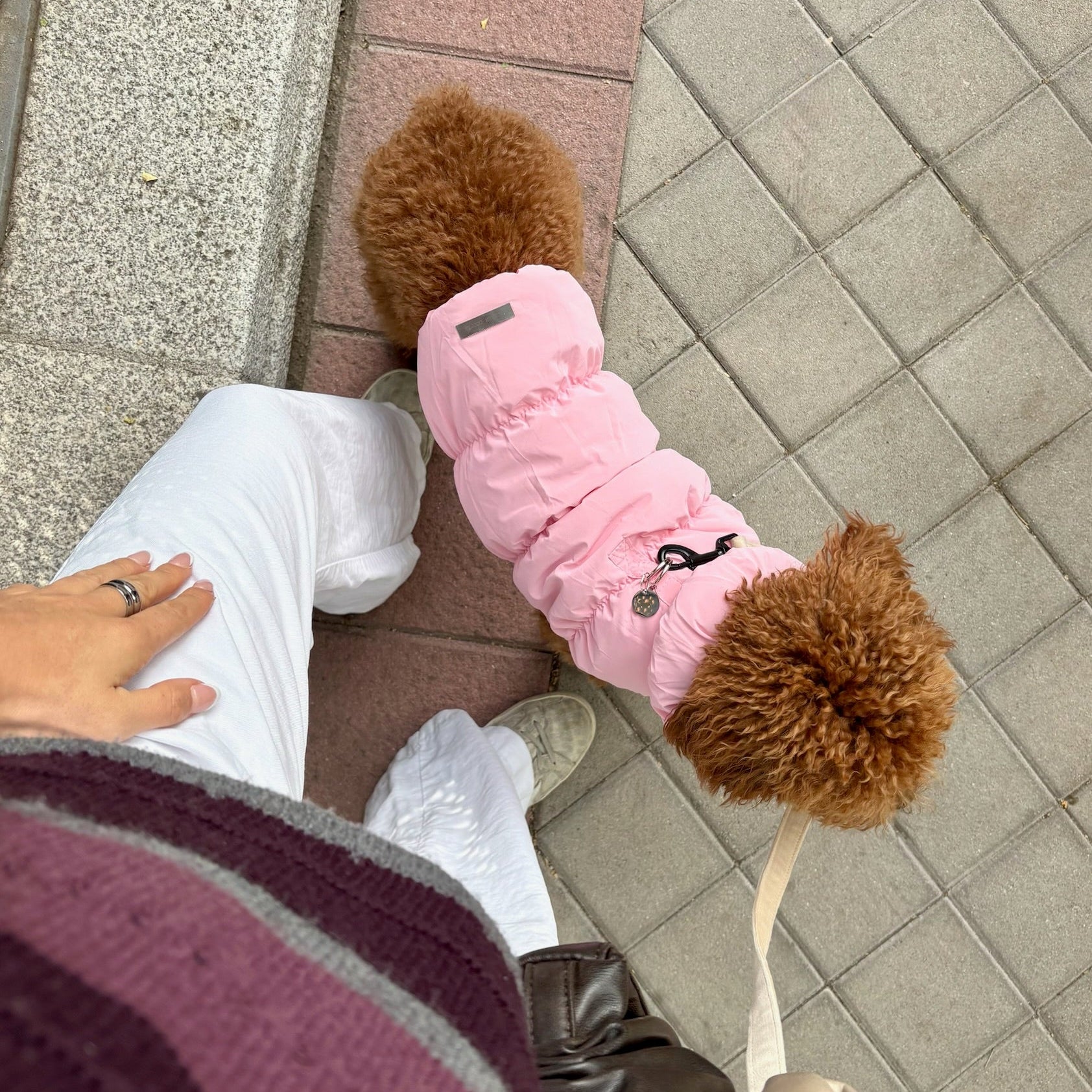 Abrigo Montecarlo - Golden Cooper