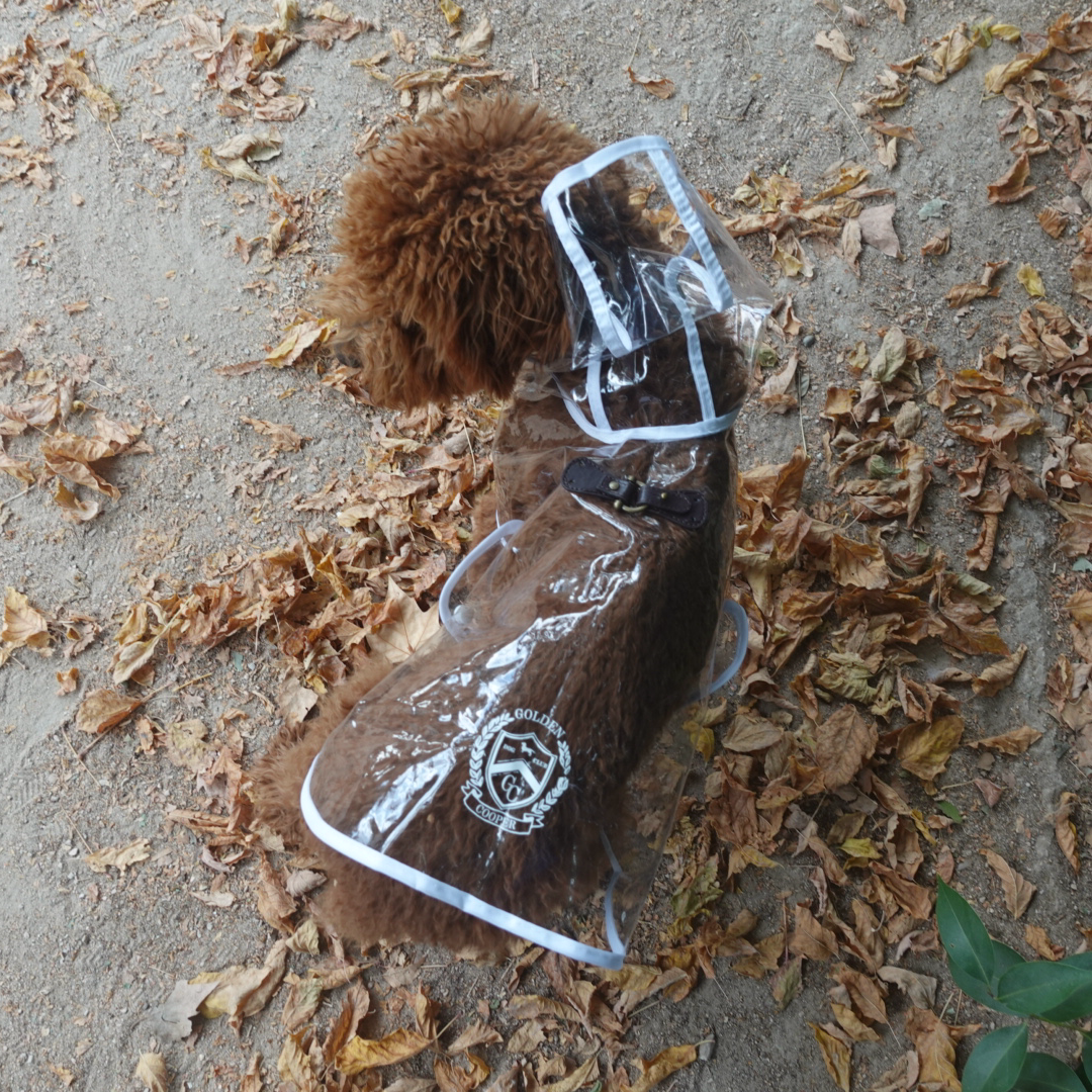 Abrigo Saint Tropez - Golden Cooper