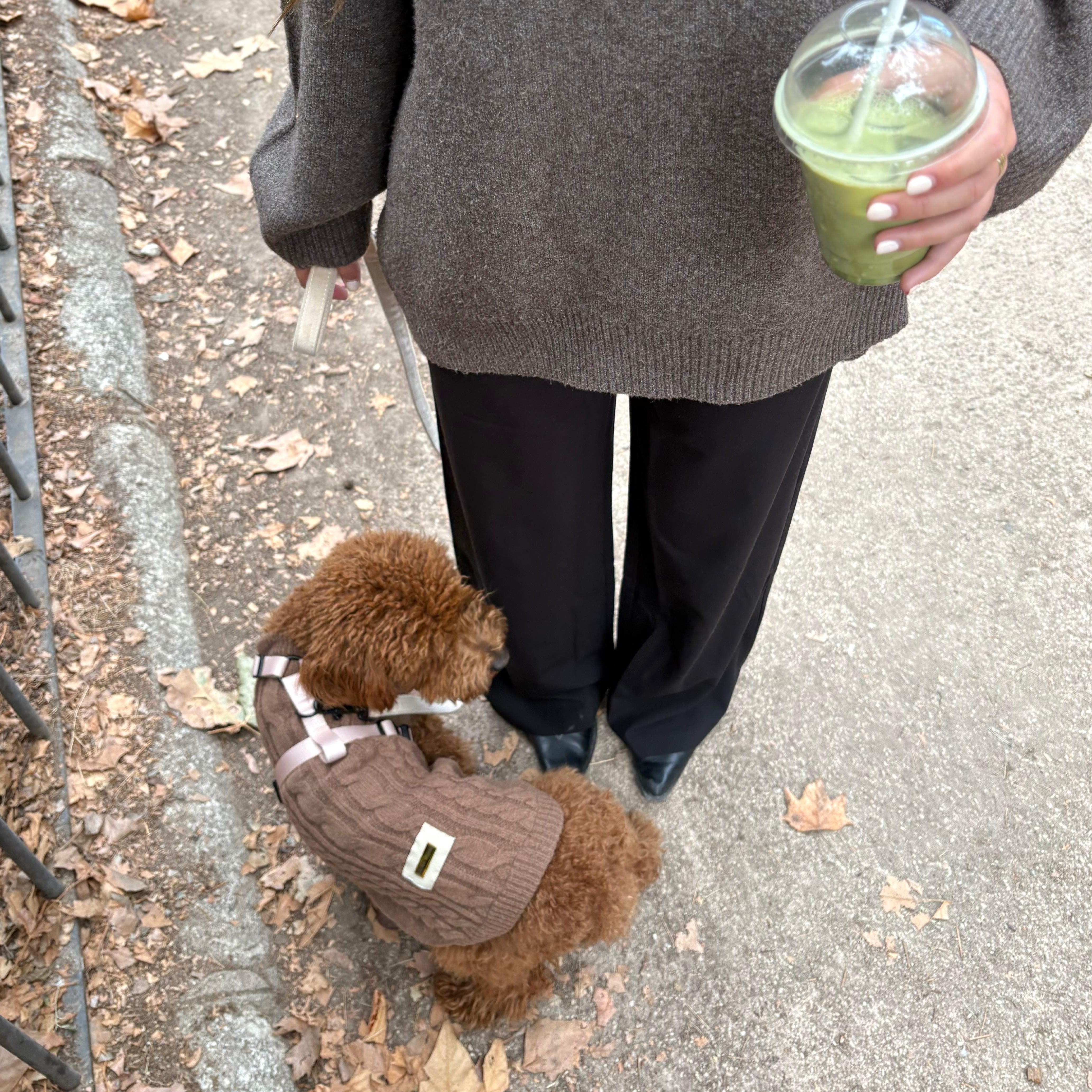 Jersey Coffee - Golden Cooper