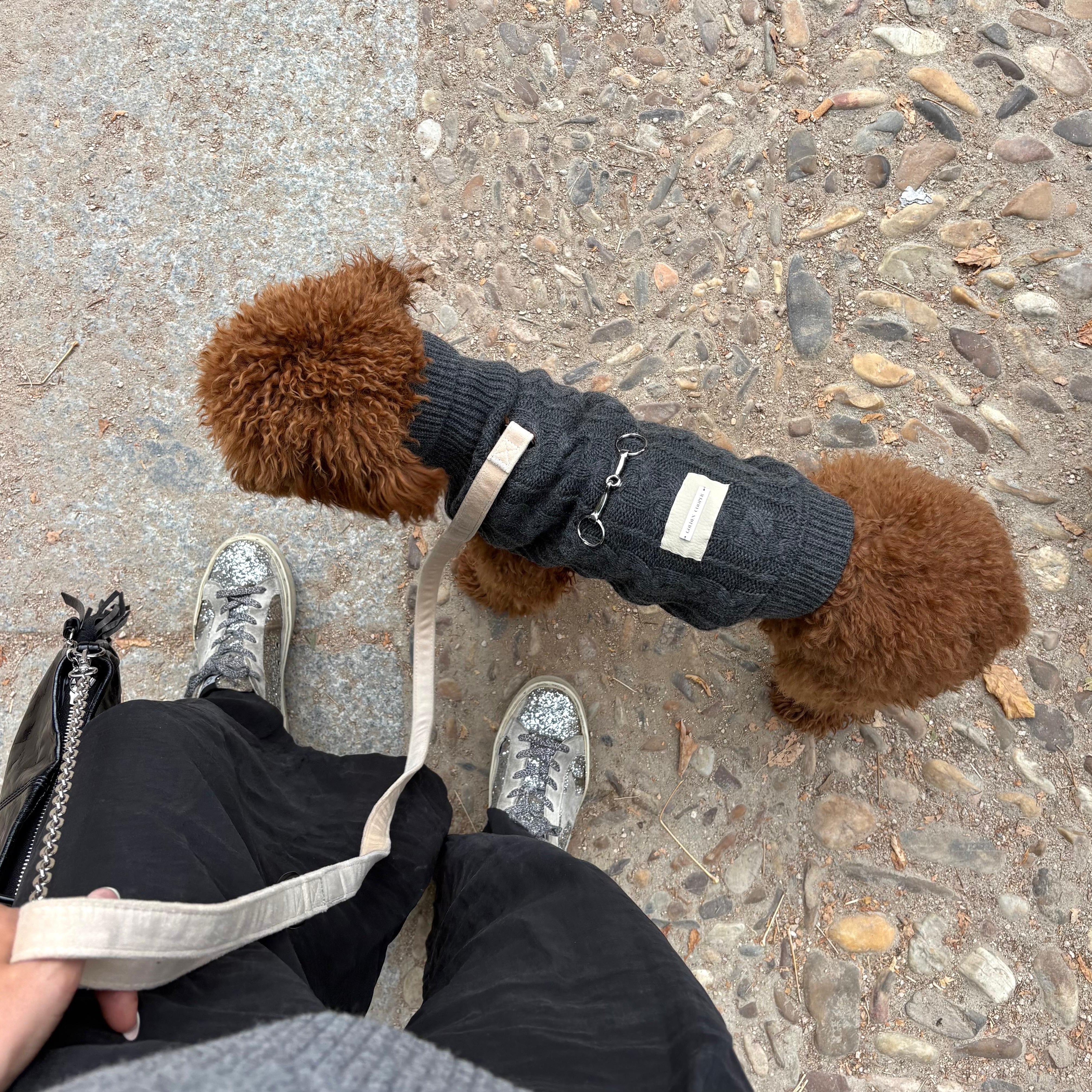 Jersey Zermat - Golden Cooper