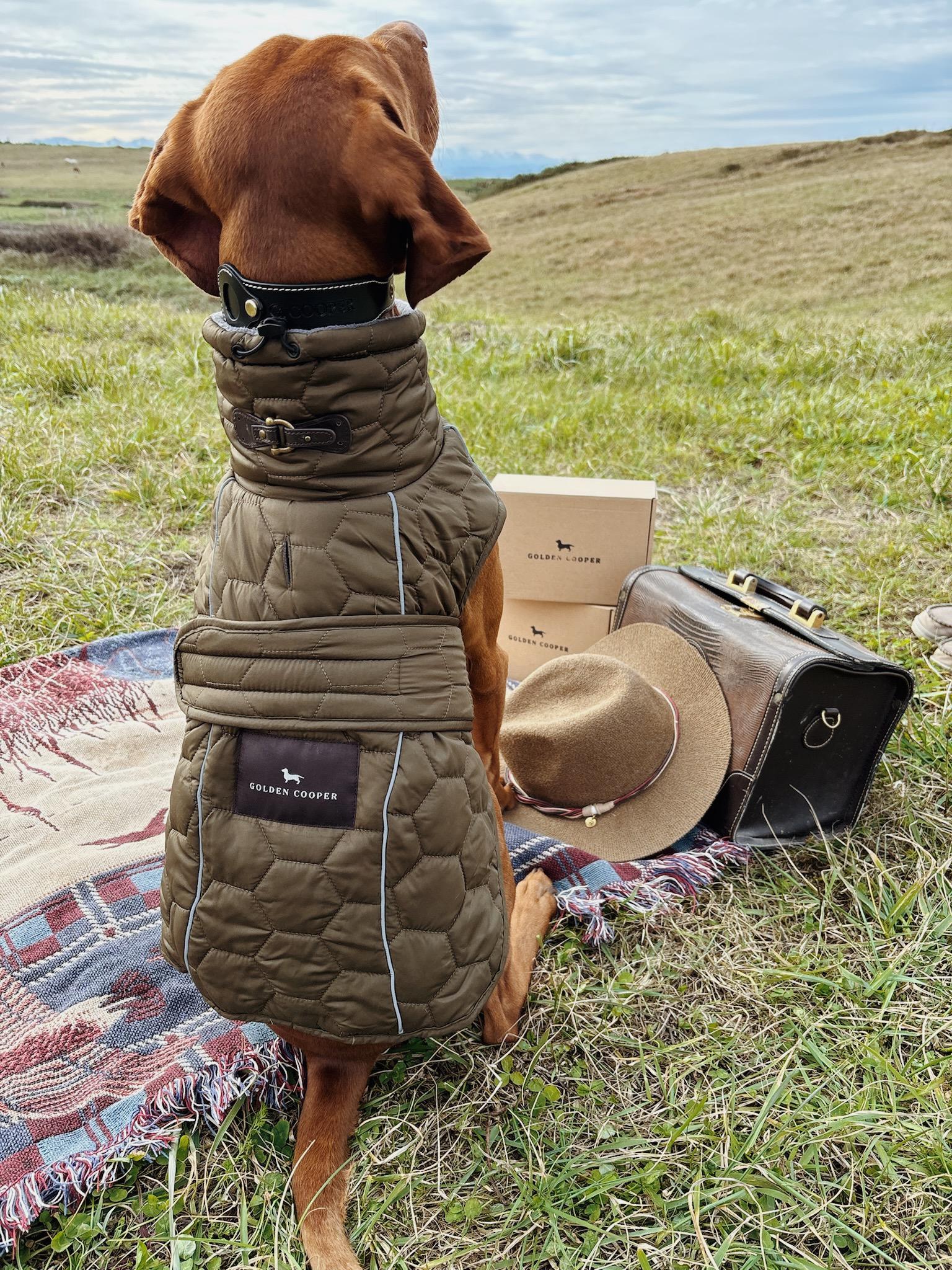 Chaleco Sito - Golden Cooper