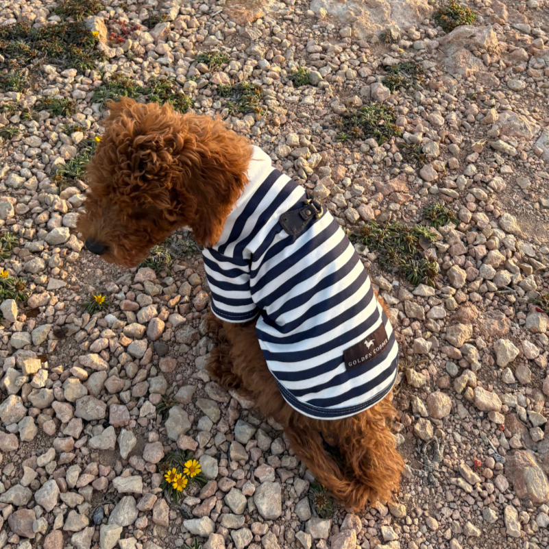 Polo marinero - Golden Cooper