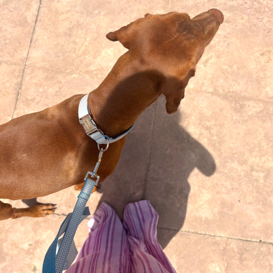Collar Dalt Vila - Golden Cooper