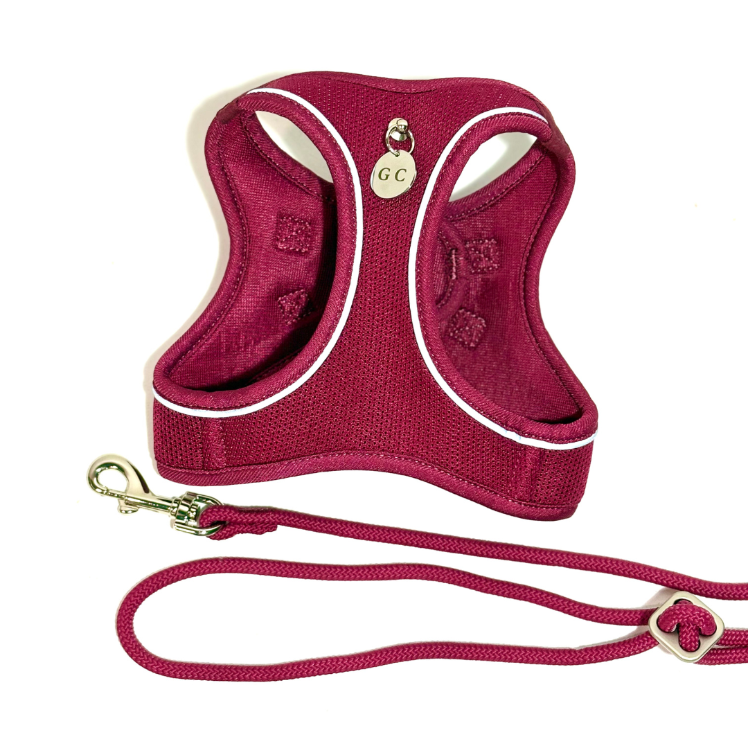 Arnés Transpirable - Golden Cooper