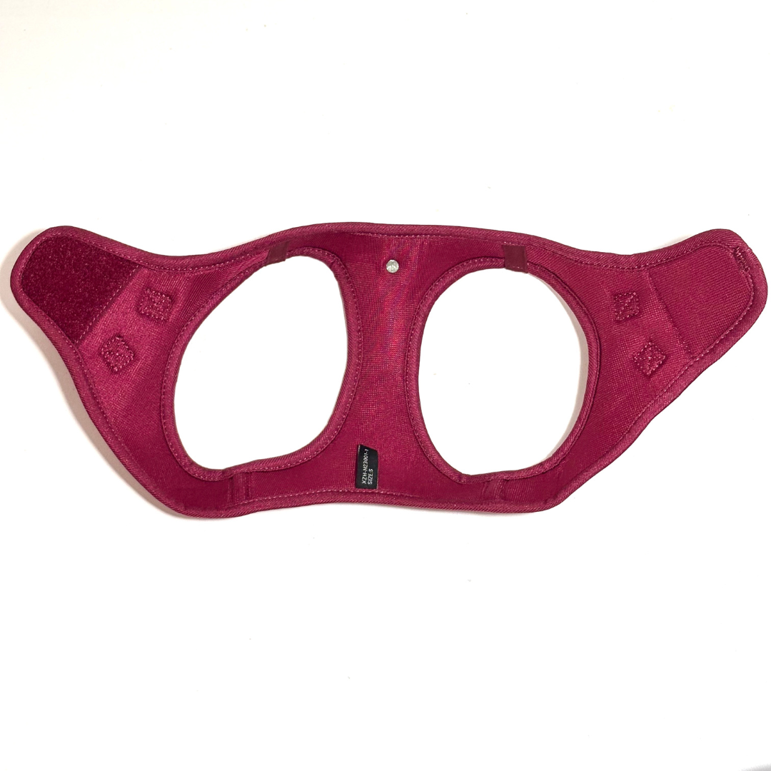 Arnés Transpirable - Golden Cooper