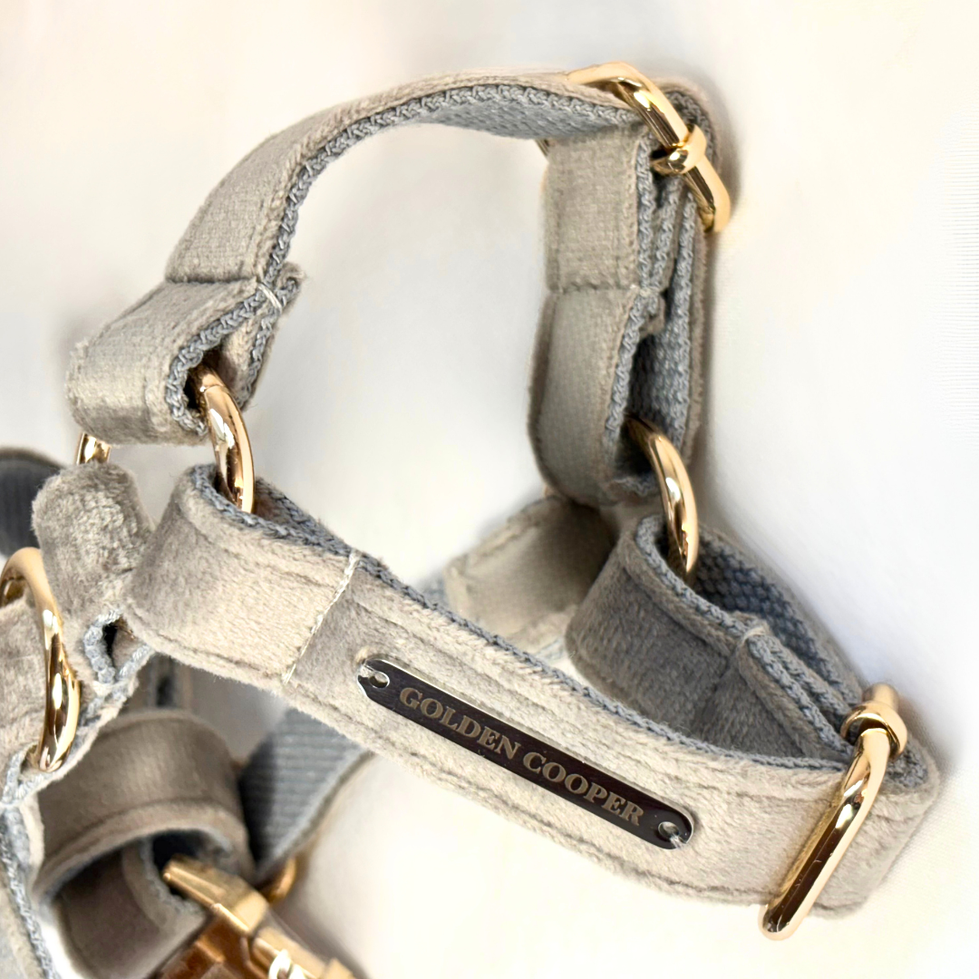 Conjunto Velvet® - Arnés, porta bolsas y correa. - Golden Cooper