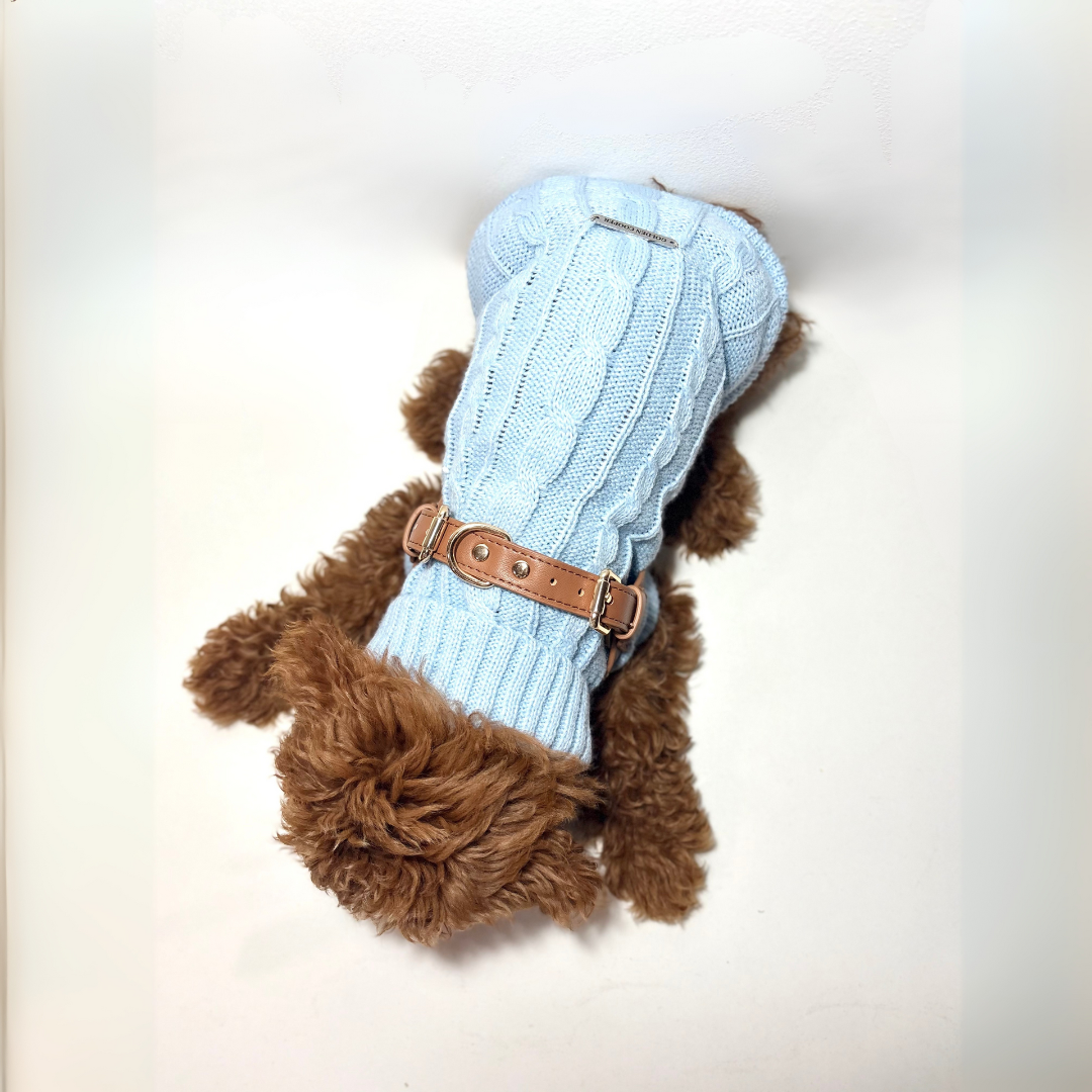 Jersey Llanes - Golden Cooper