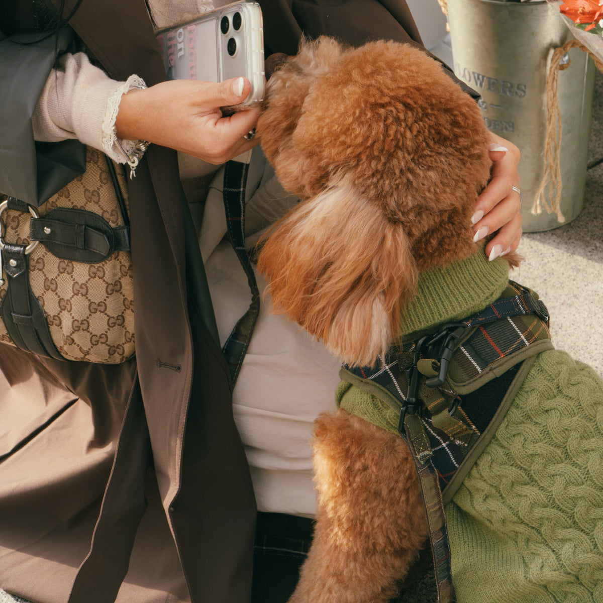 Jersey Vendome - Golden Cooper