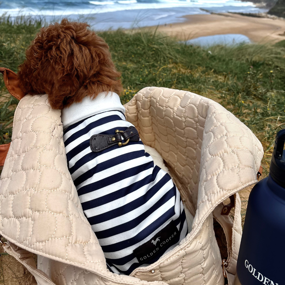 Polo marinero - Golden Cooper