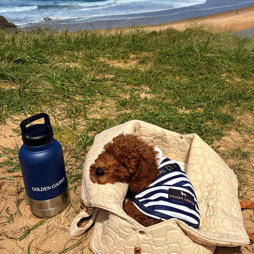 Polo marinero - Golden Cooper