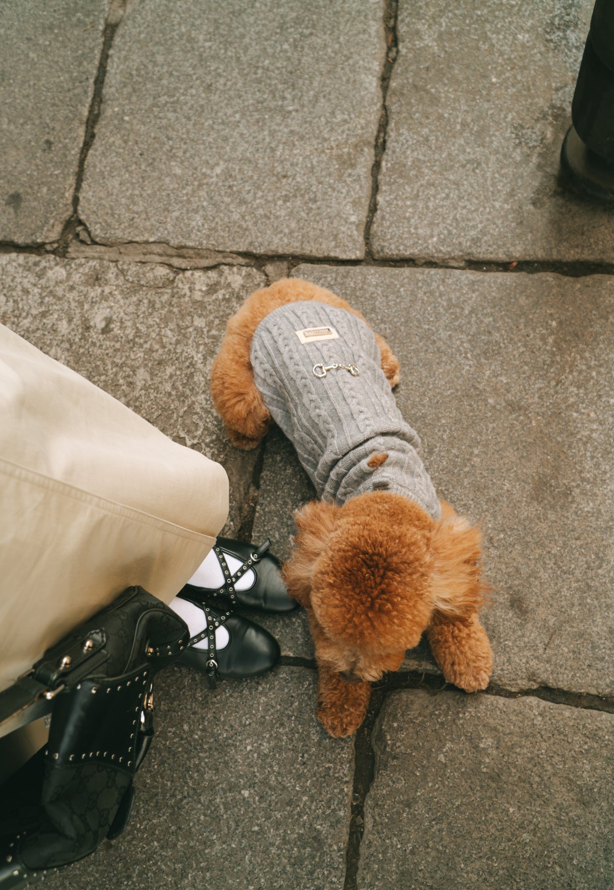 Jersey Zermat - Golden Cooper