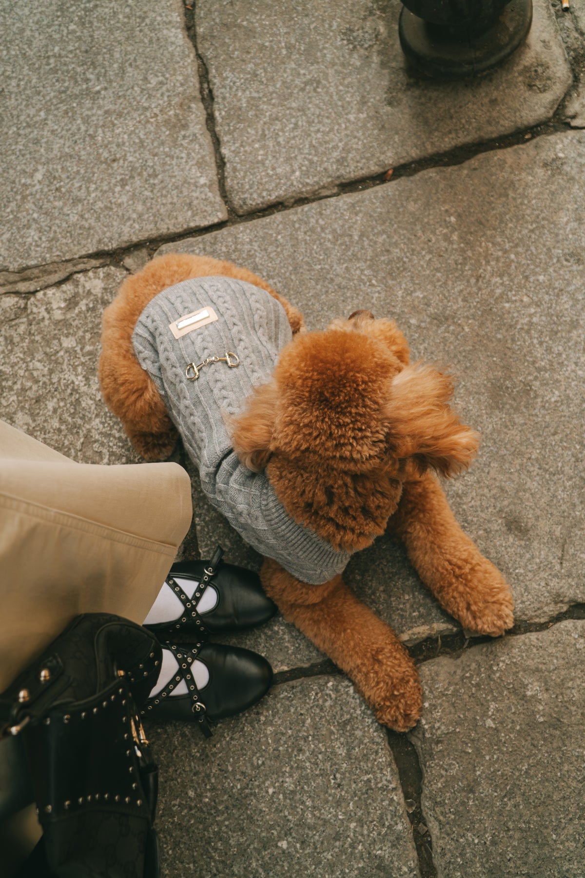 Jersey Zermat - Golden Cooper