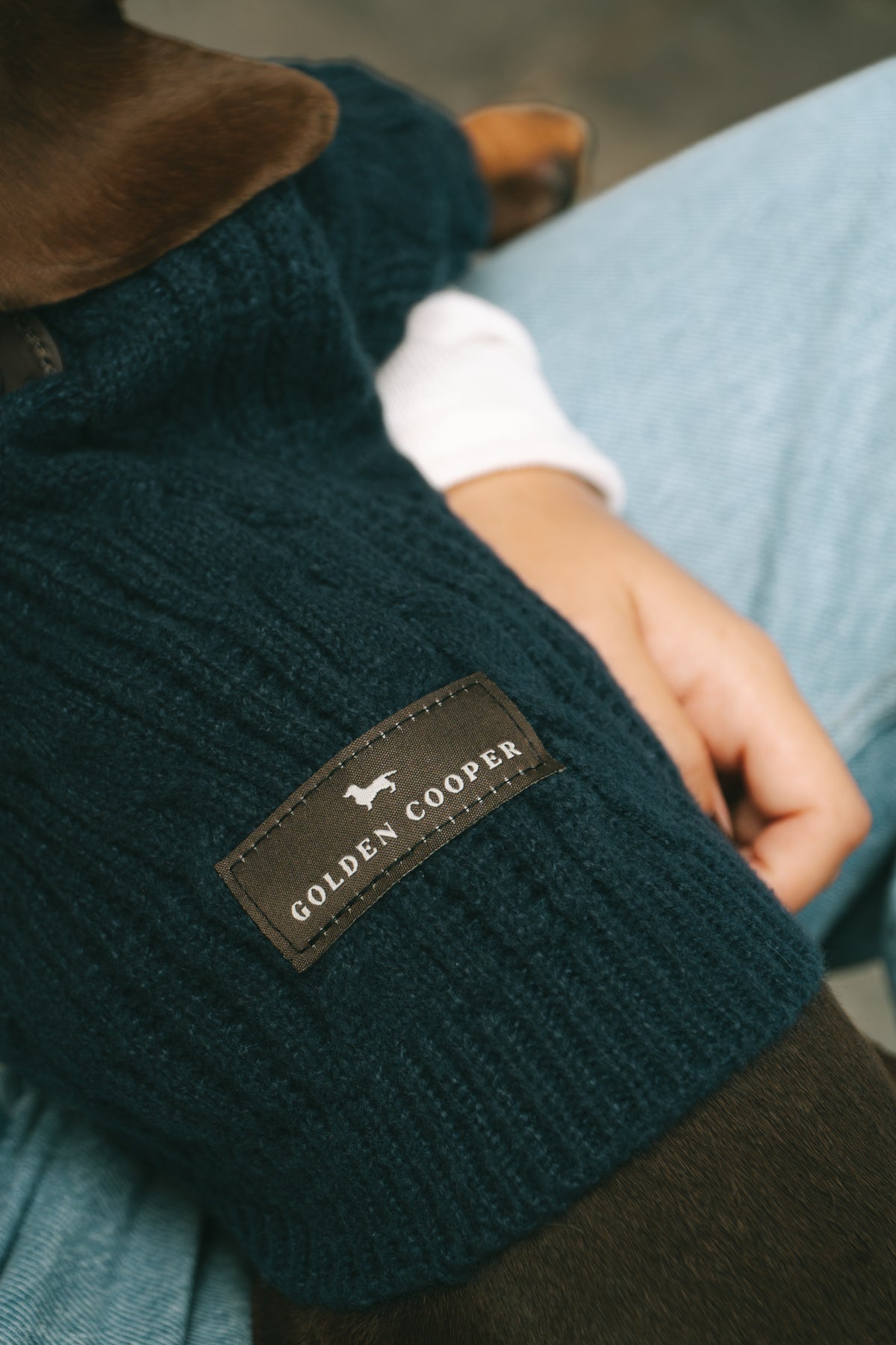 Jersey Cozy - Golden Cooper