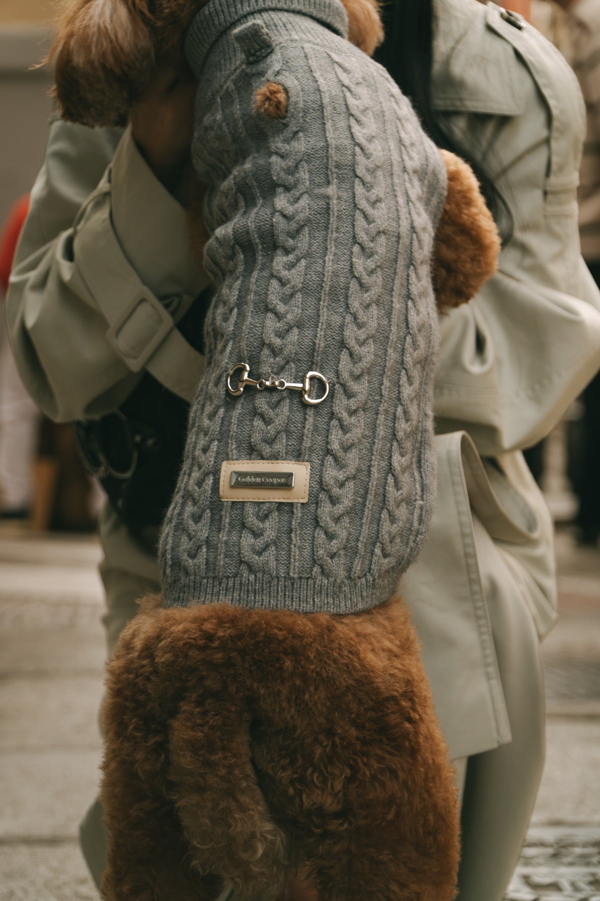 Jersey Zermat - Golden Cooper