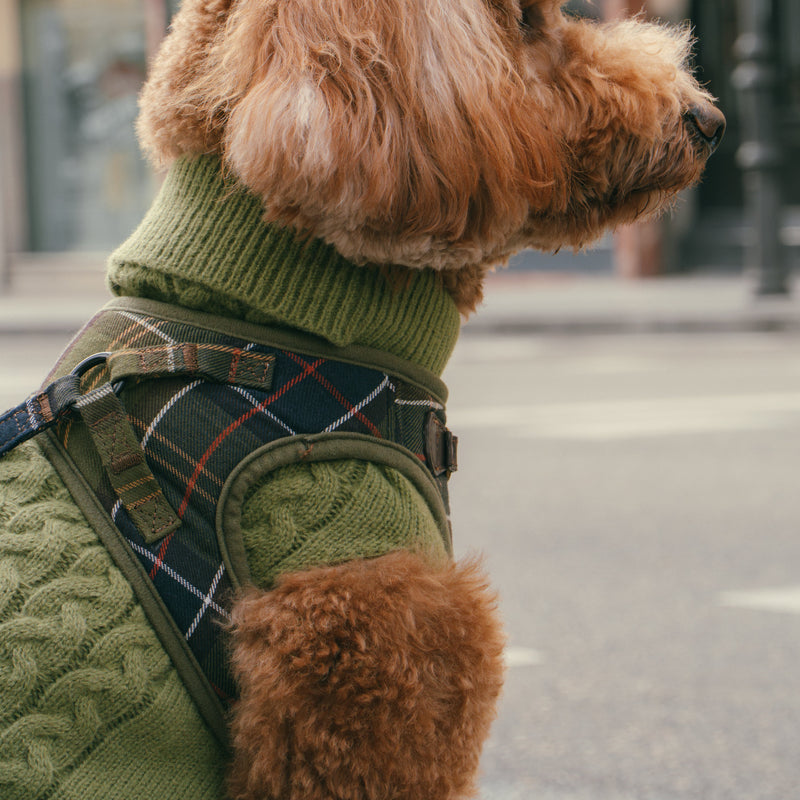 Jersey Vendome - Golden Cooper