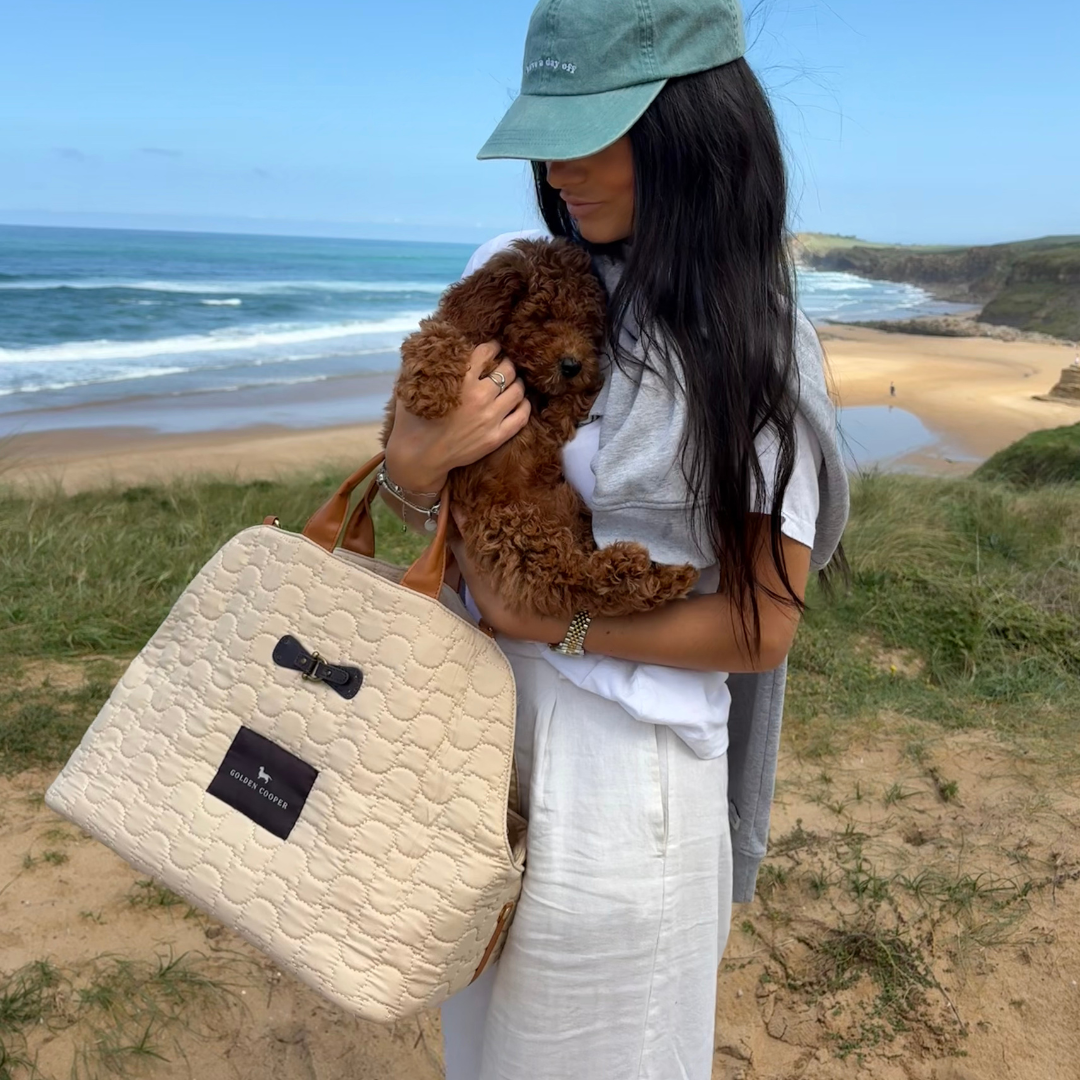 Transportín Cannes - Golden Cooper