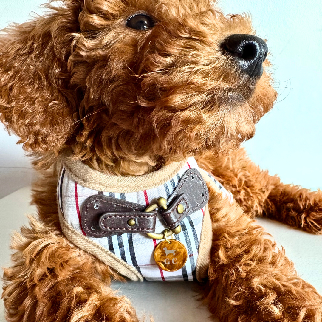 Arnés Milán - Golden Cooper