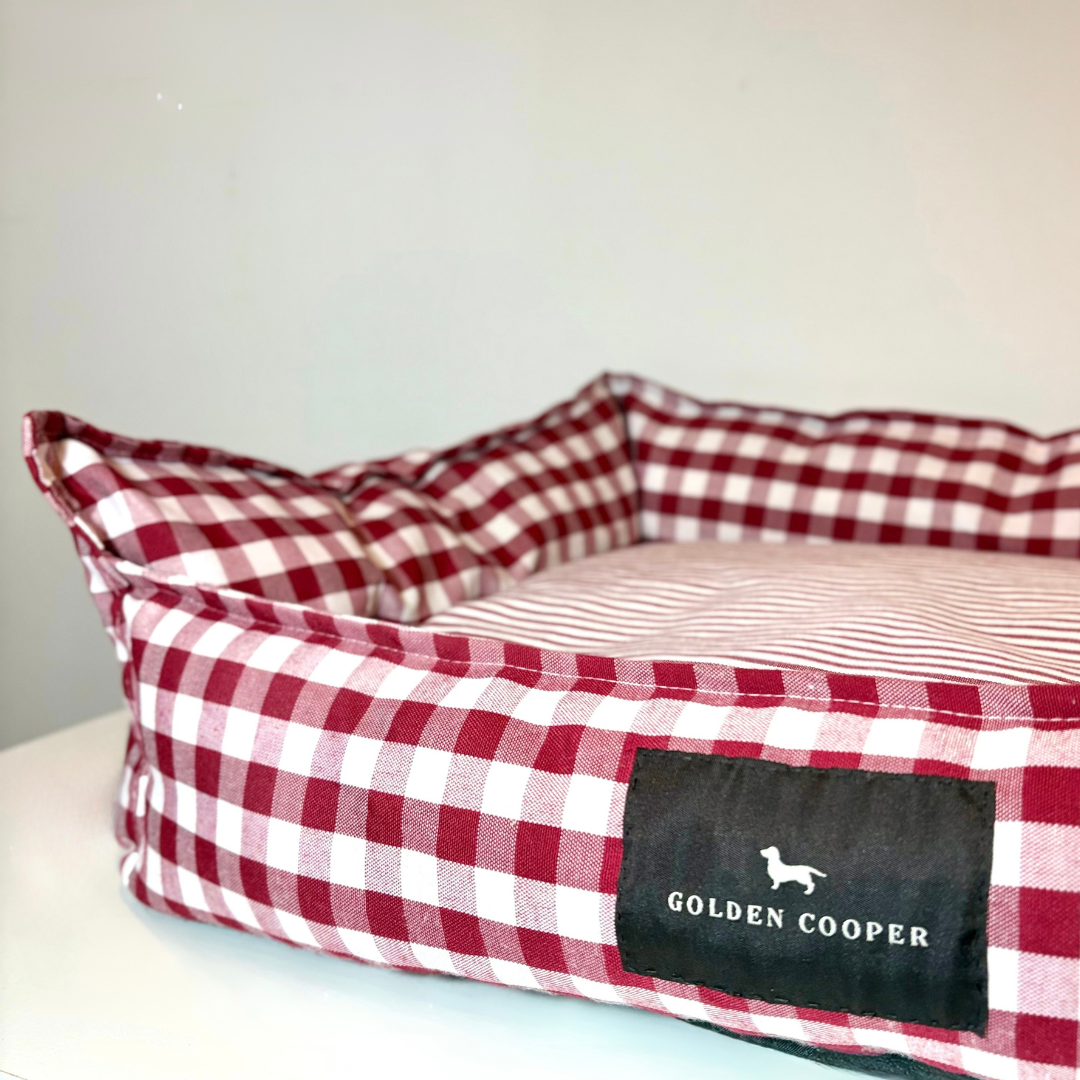 Cama de Verano - Golden Cooper