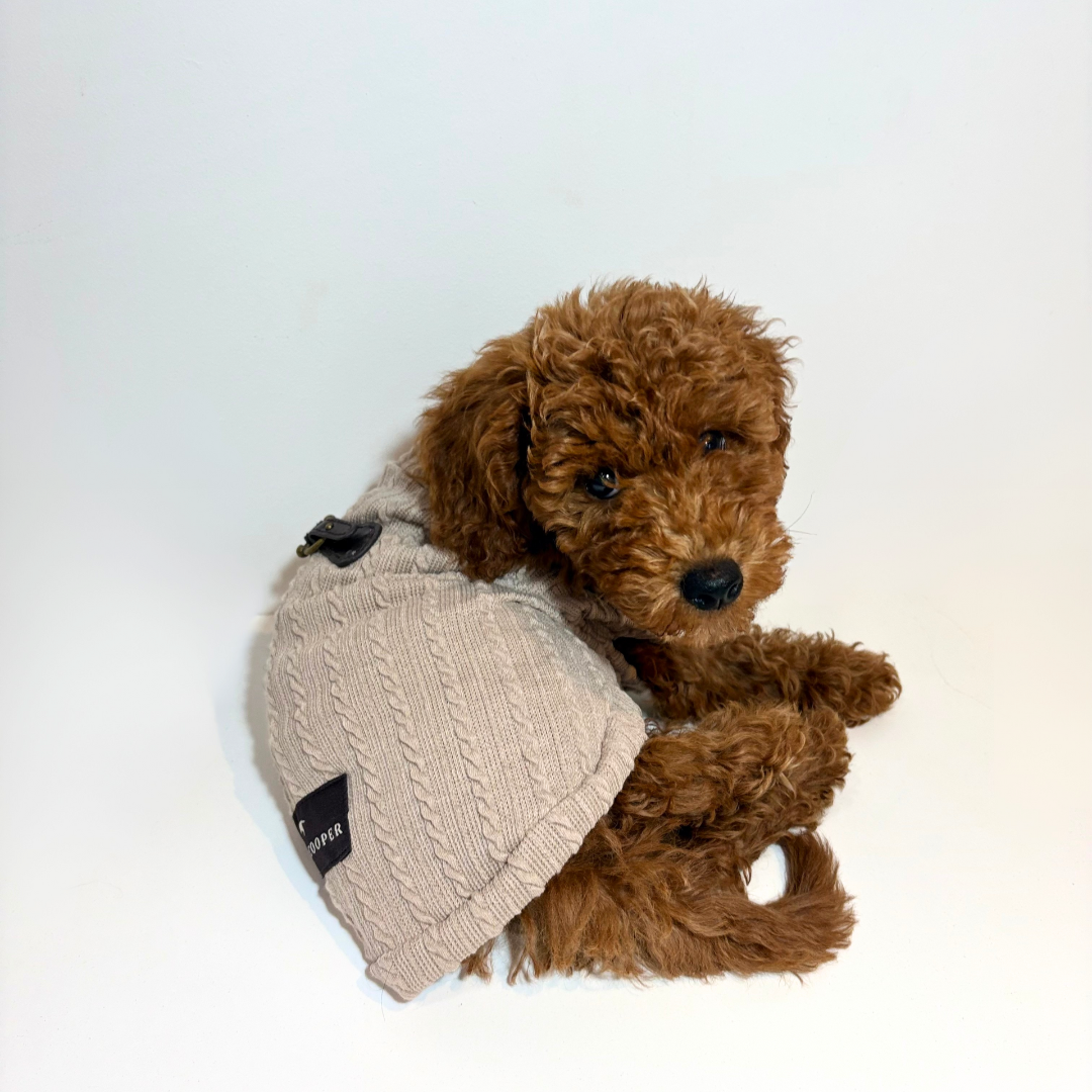 Jersey Beige - Golden Cooper