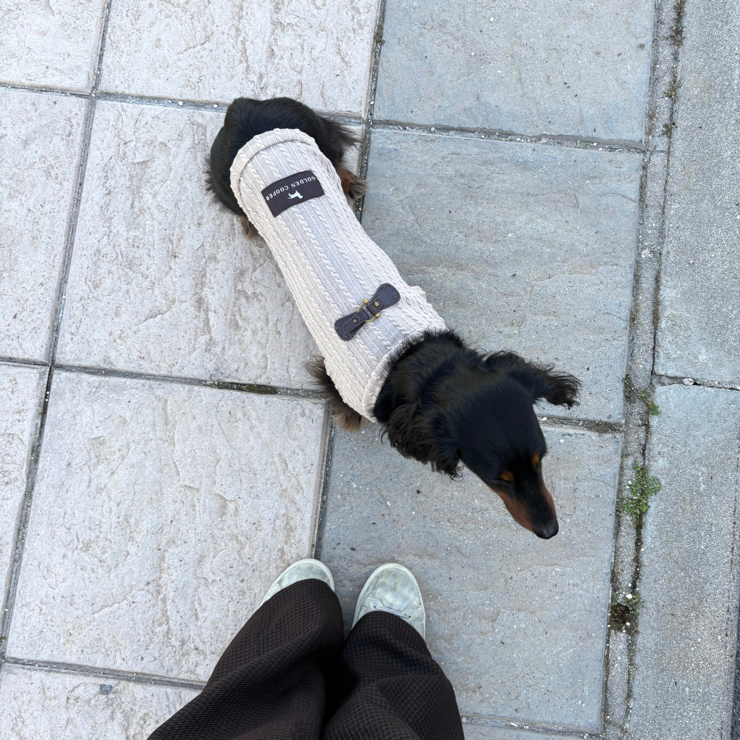 Jersey Beige - Golden Cooper