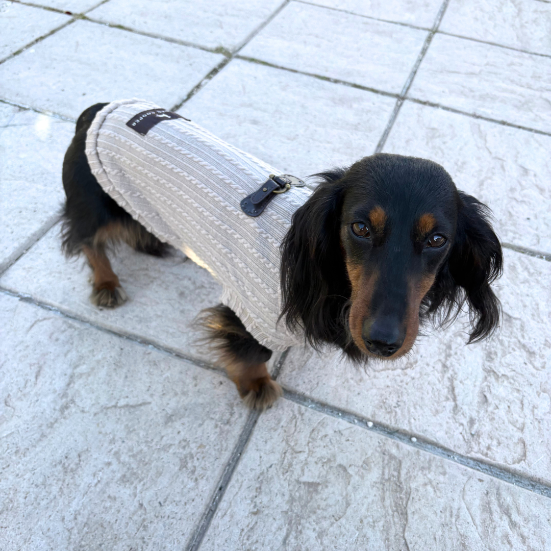 Jersey Beige - Golden Cooper