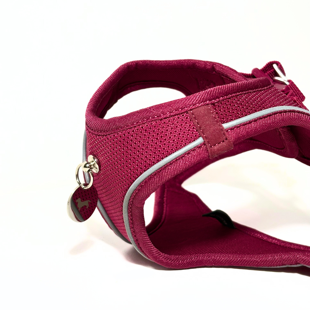 Arnés Transpirable - Golden Cooper