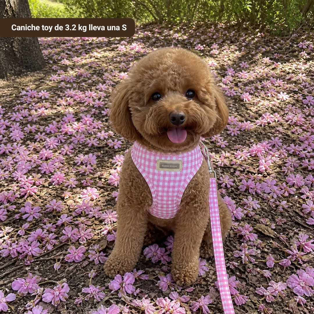 Arnés Vichy rosa con correa - Golden Cooper