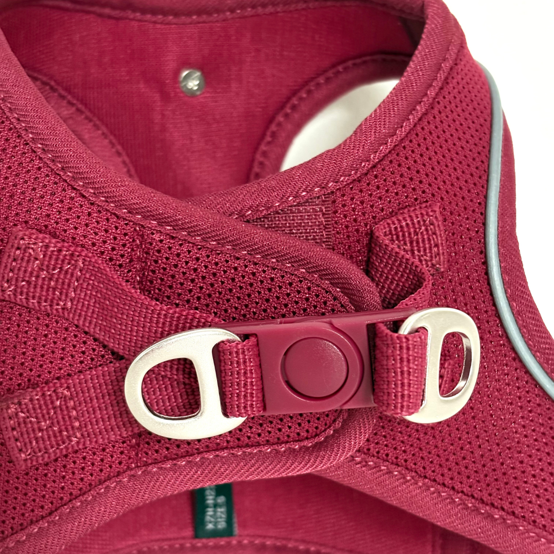 Arnés Transpirable - Golden Cooper