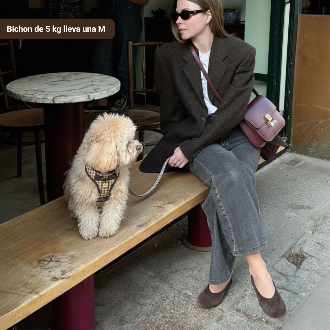 Arnés Benirrás con correa - Golden Cooper