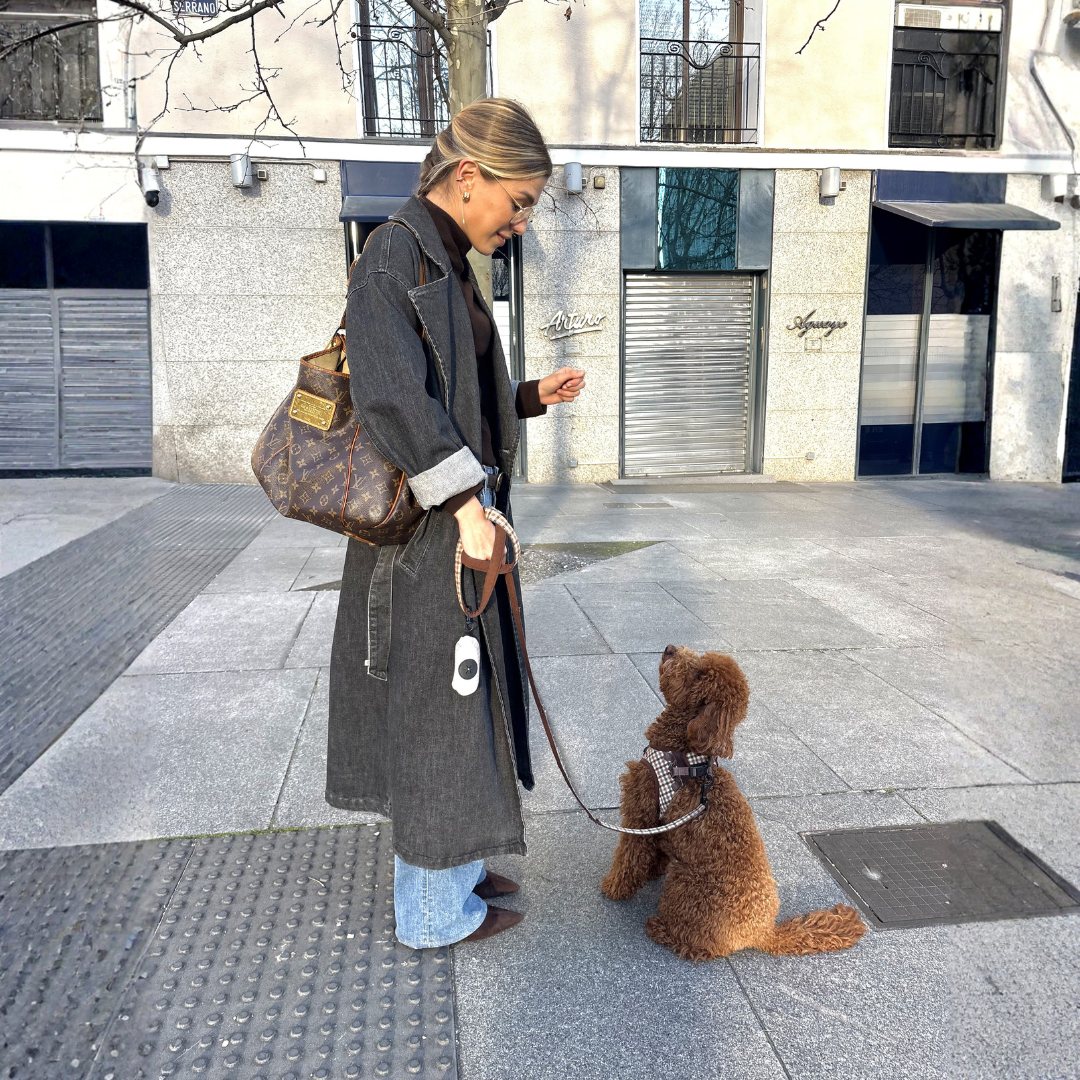 Arnés Benirrás con correa - Golden Cooper