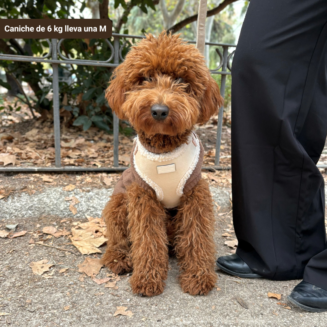 Arnés Borrego con correa - Golden Cooper