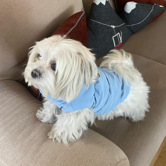 Carlos