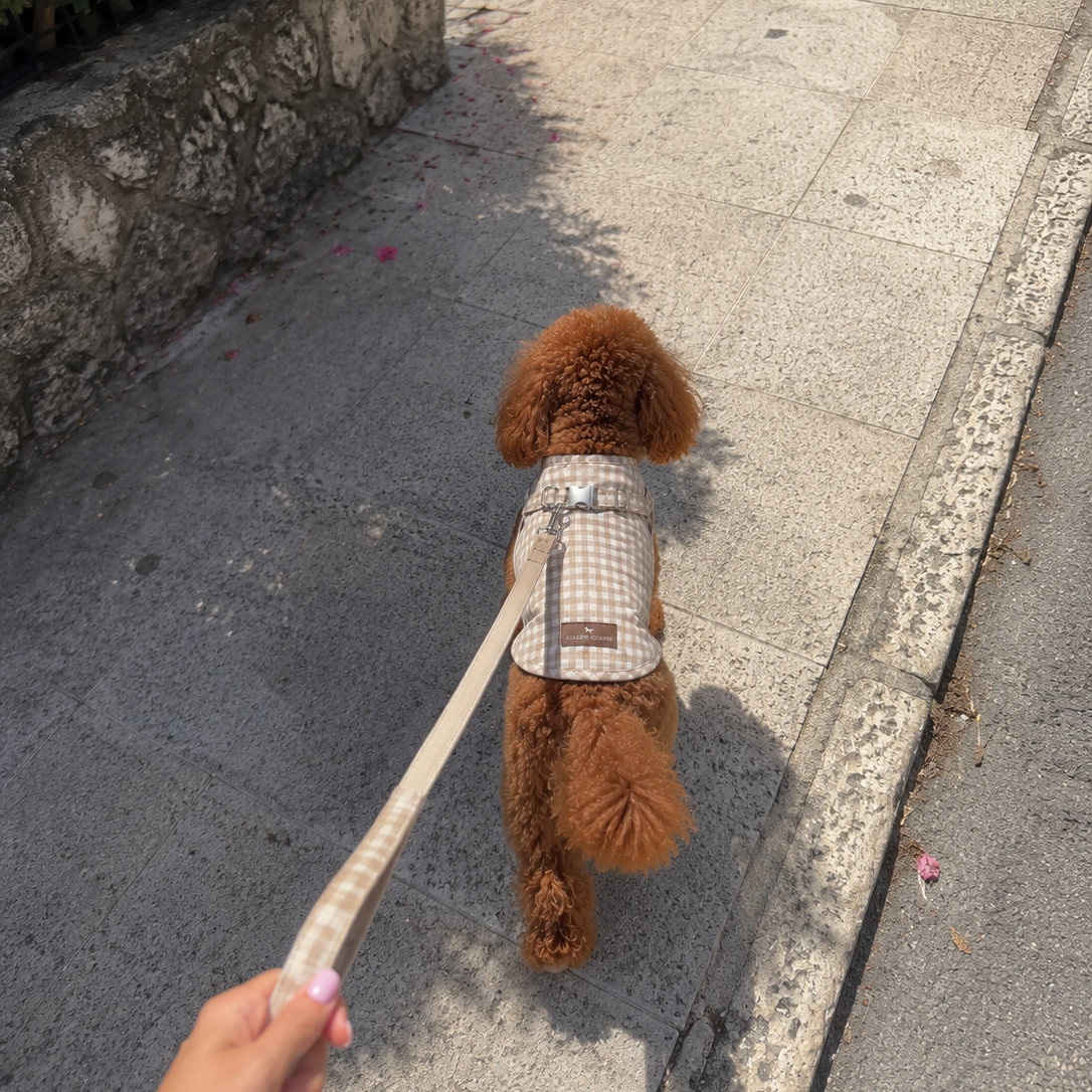 Camiseta Arnés Bellagio - Golden Cooper