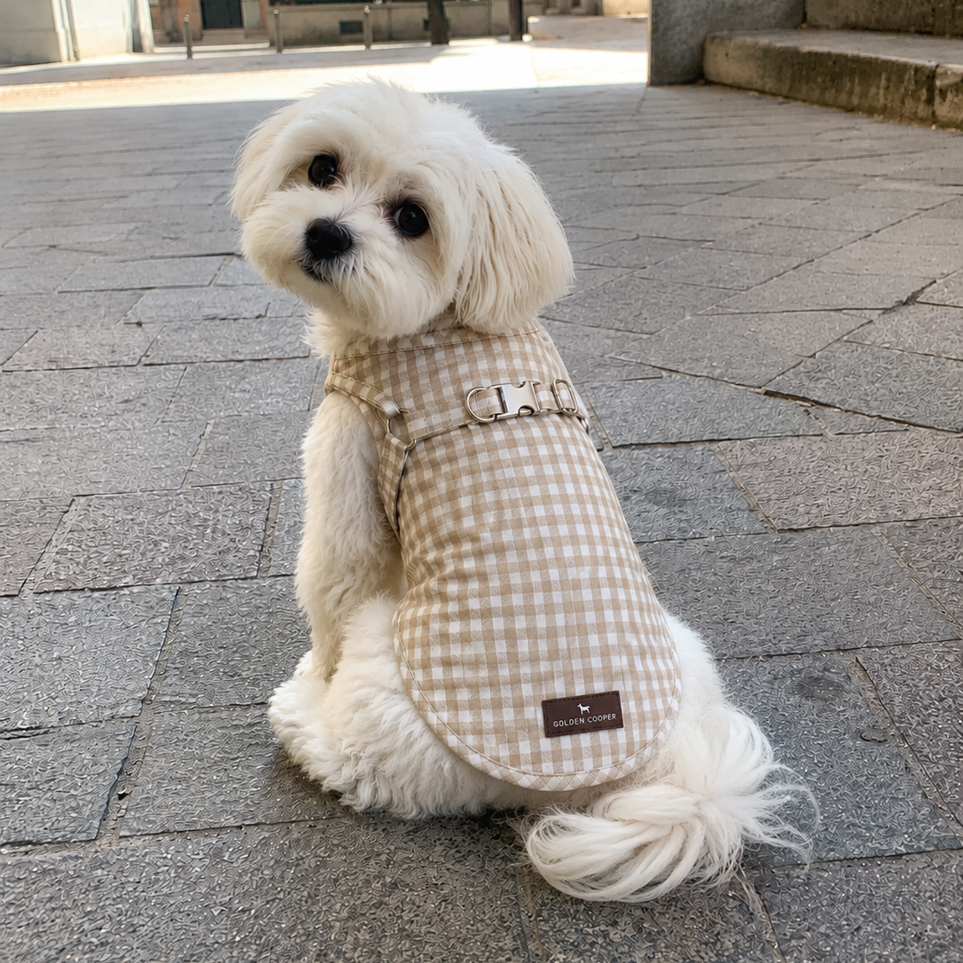 Camiseta Arnés Bellagio - Golden Cooper