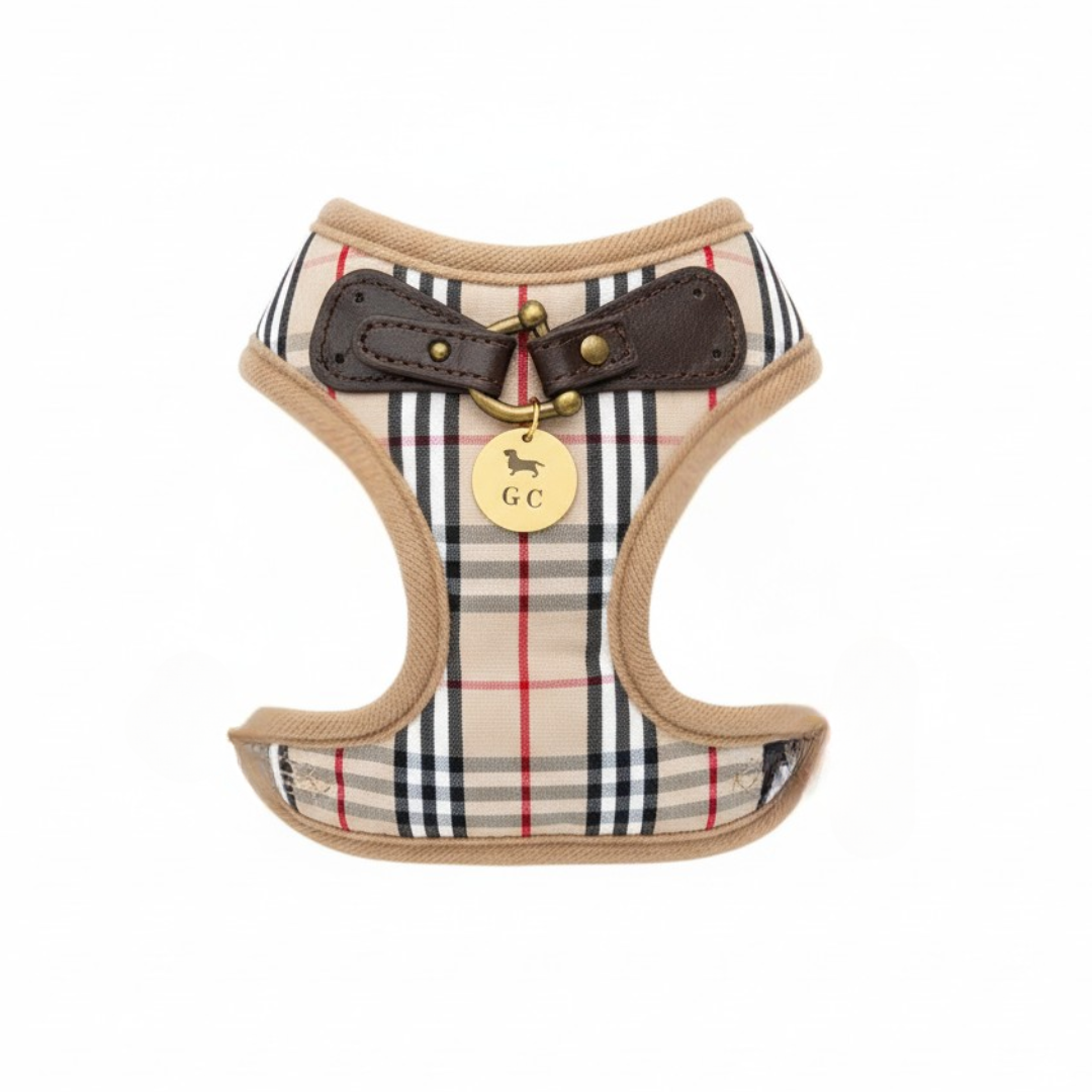 Arnés Milán con correa - Golden Cooper