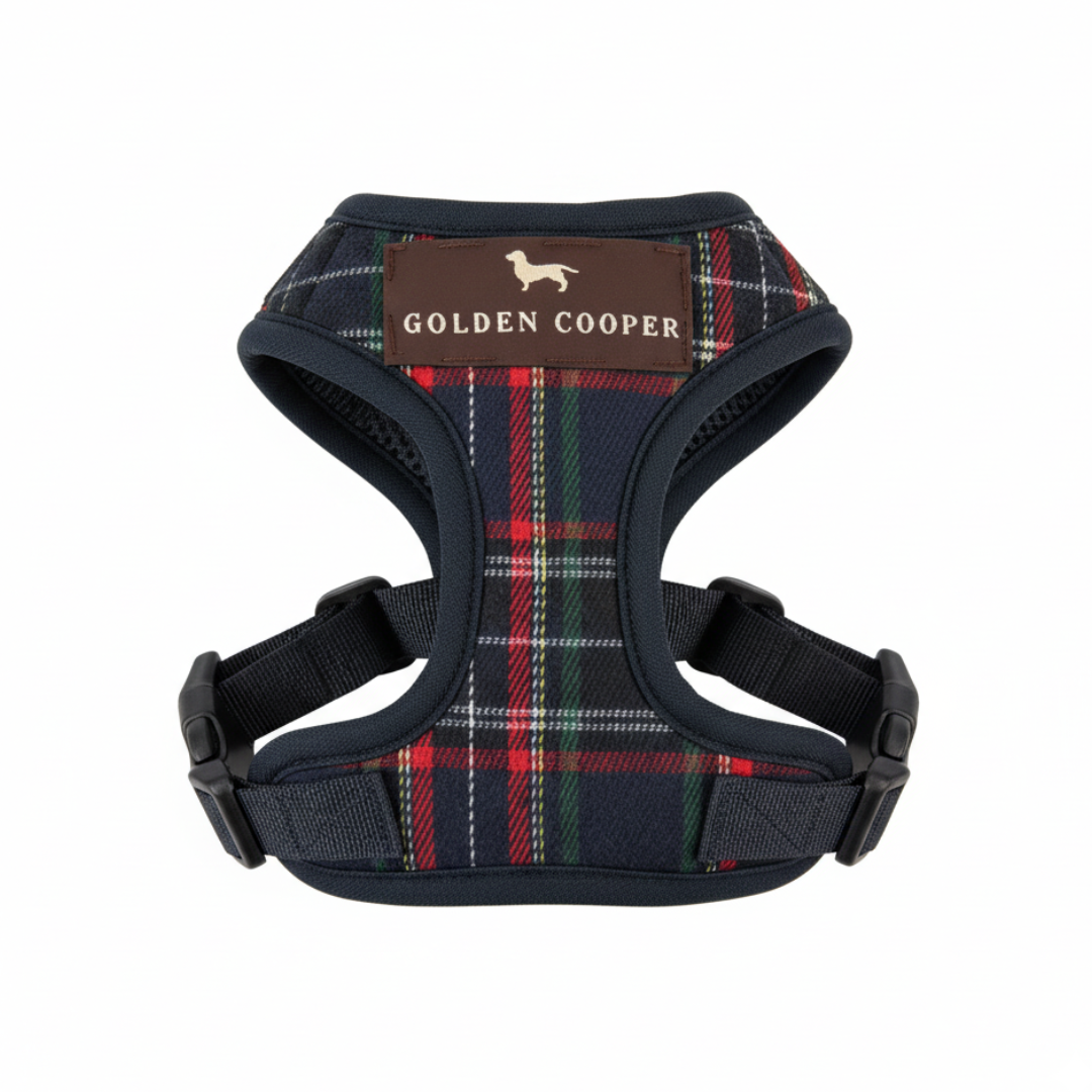 Arnés clásico escocés con correa - Golden Cooper