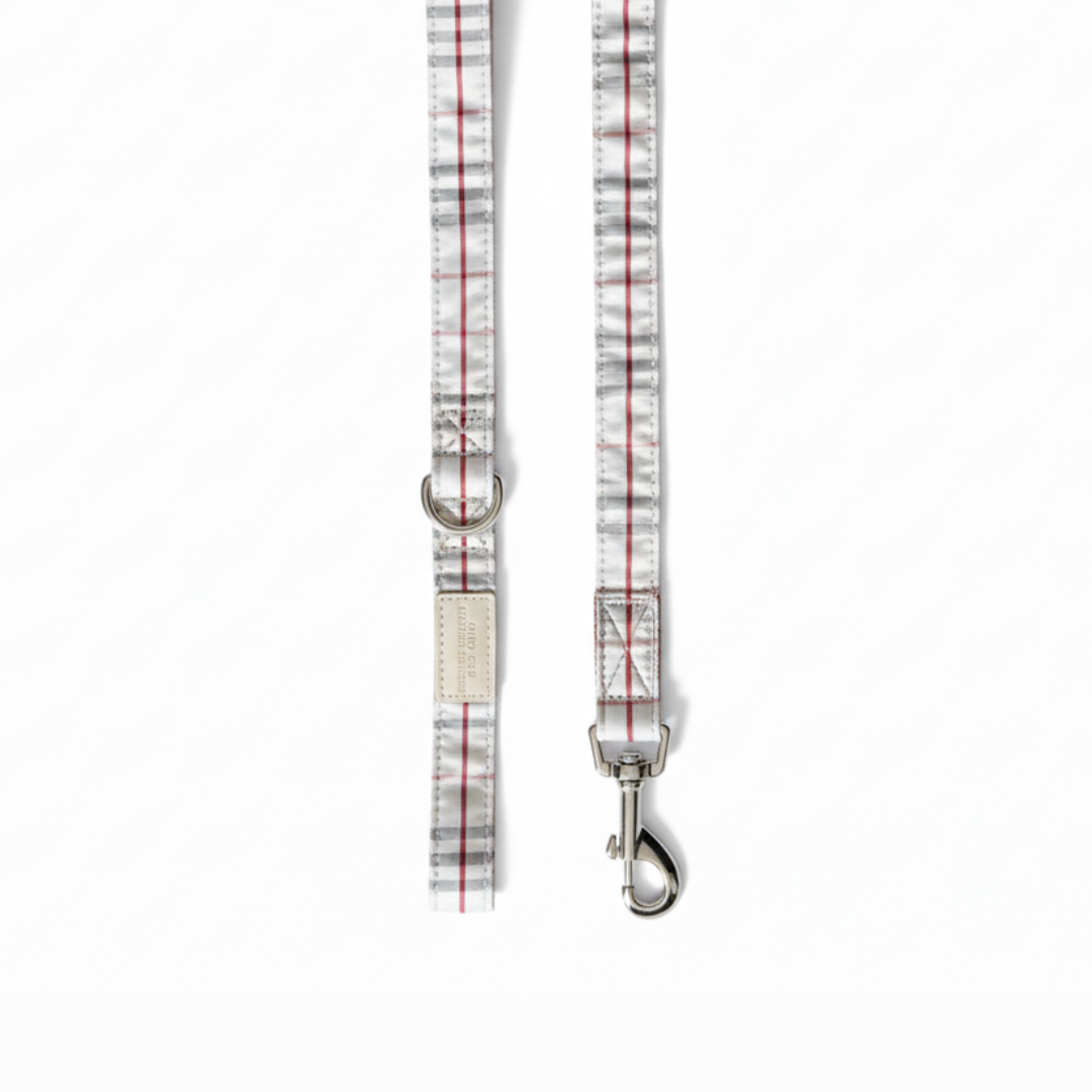 Arnés Milán con correa - Golden Cooper