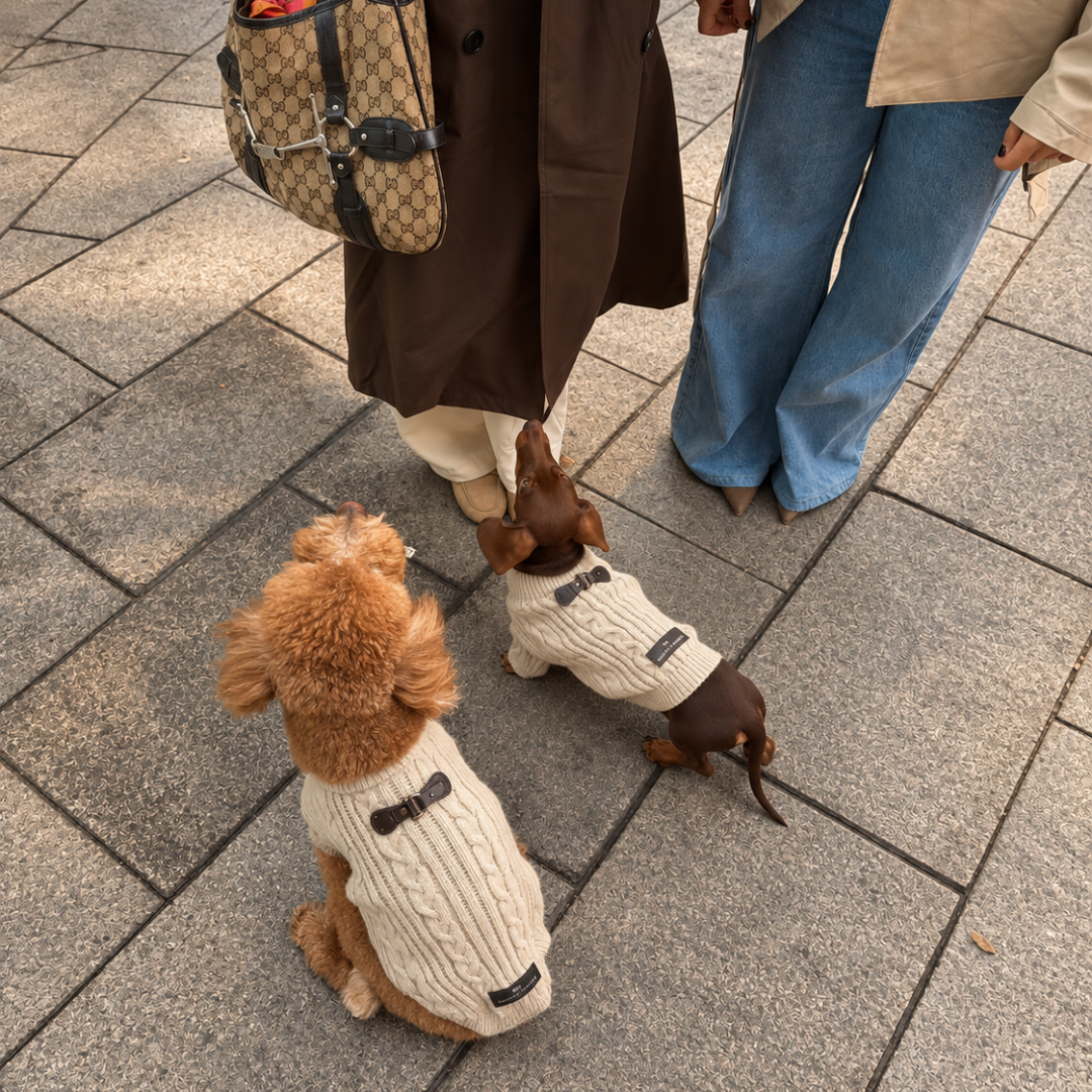 Jersey Cozy Beige - Golden Cooper