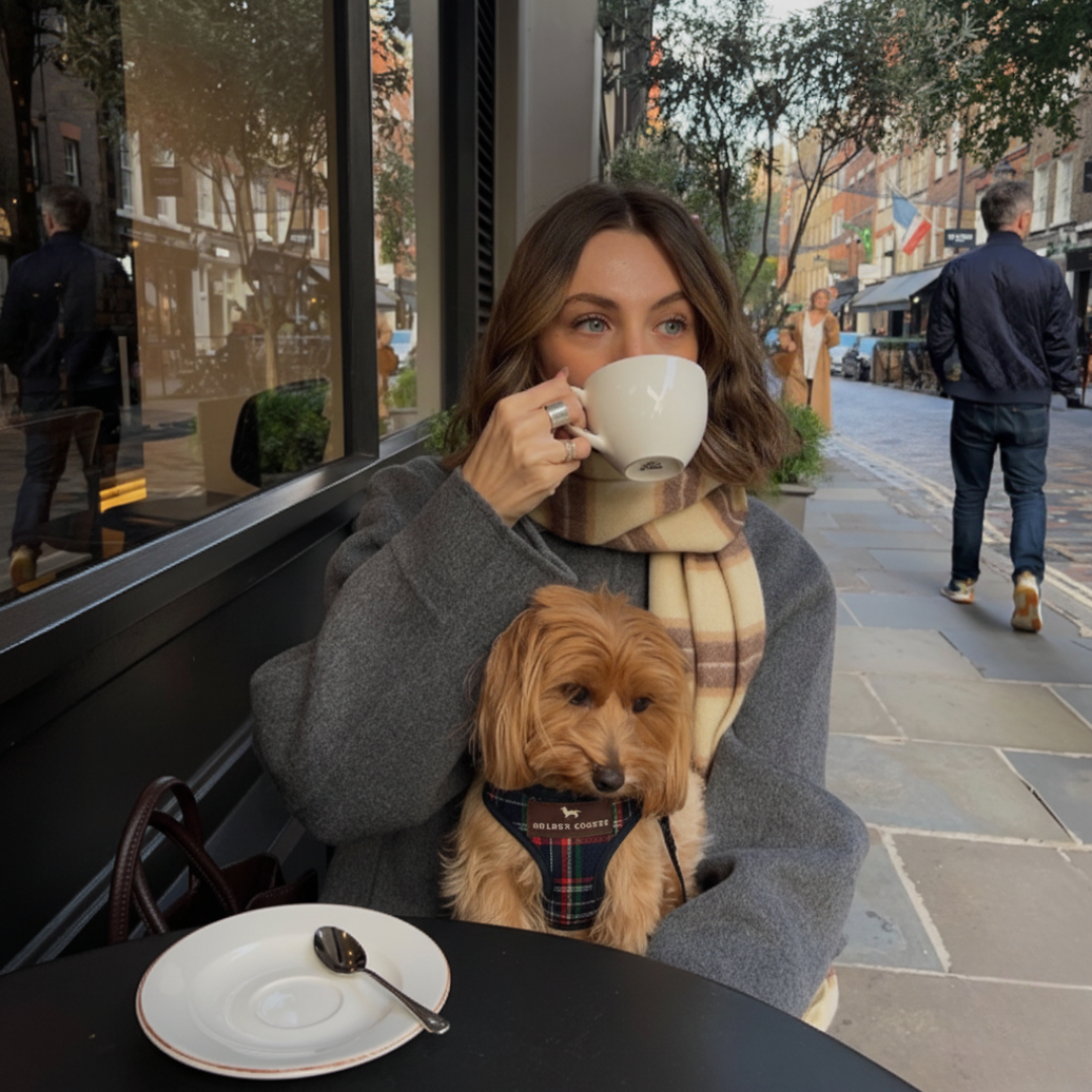 Arnés clásico escocés con correa - Golden Cooper