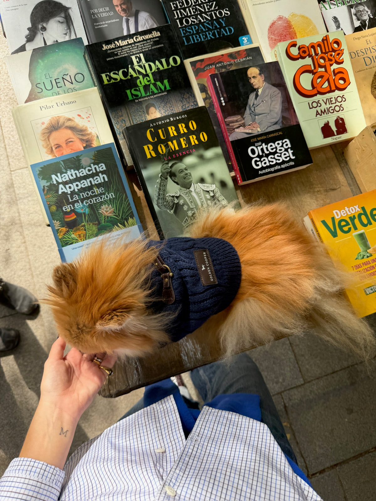 Jersey Cozy azul marino - Golden Cooper