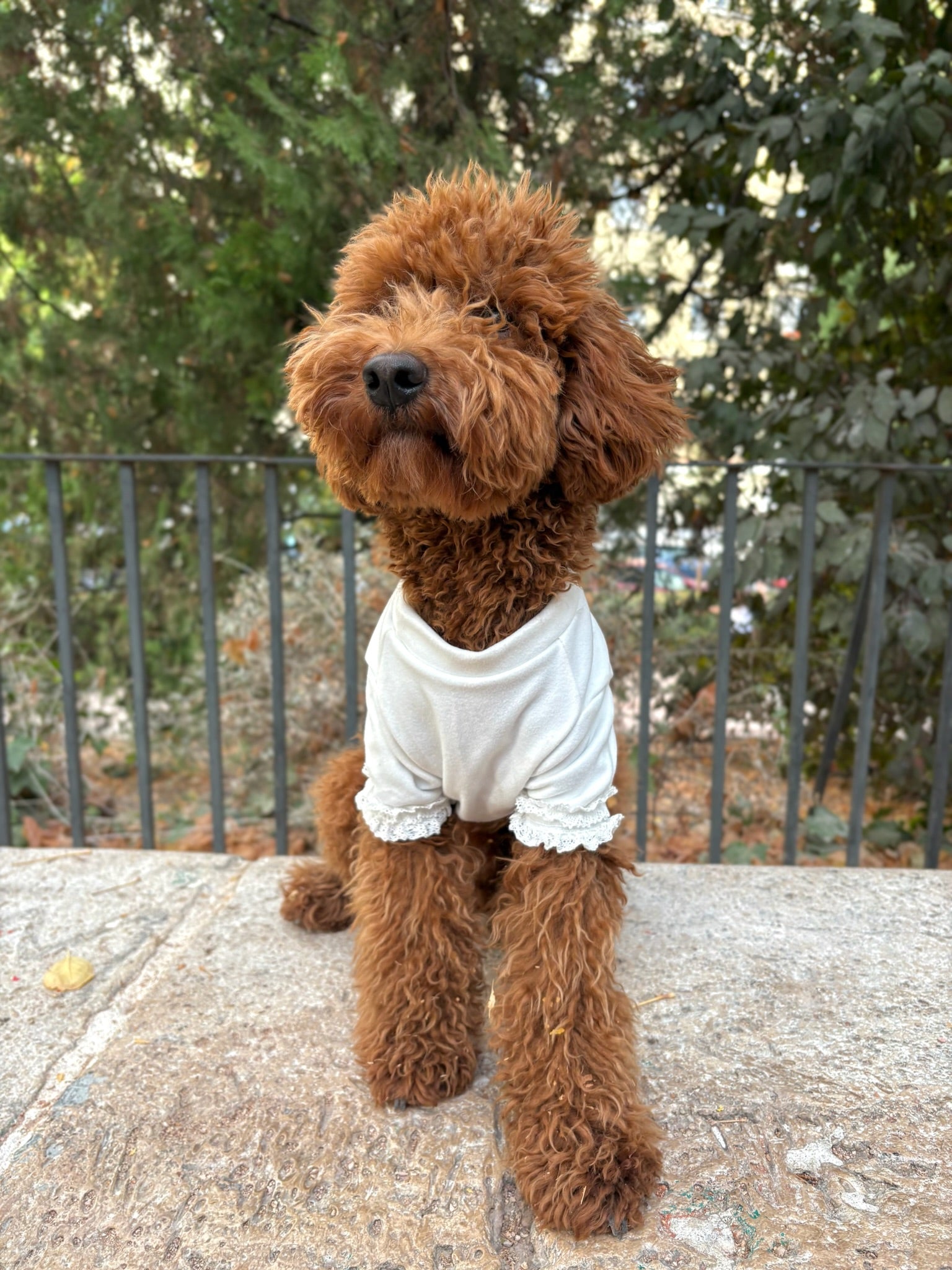 Camiseta Mónaco