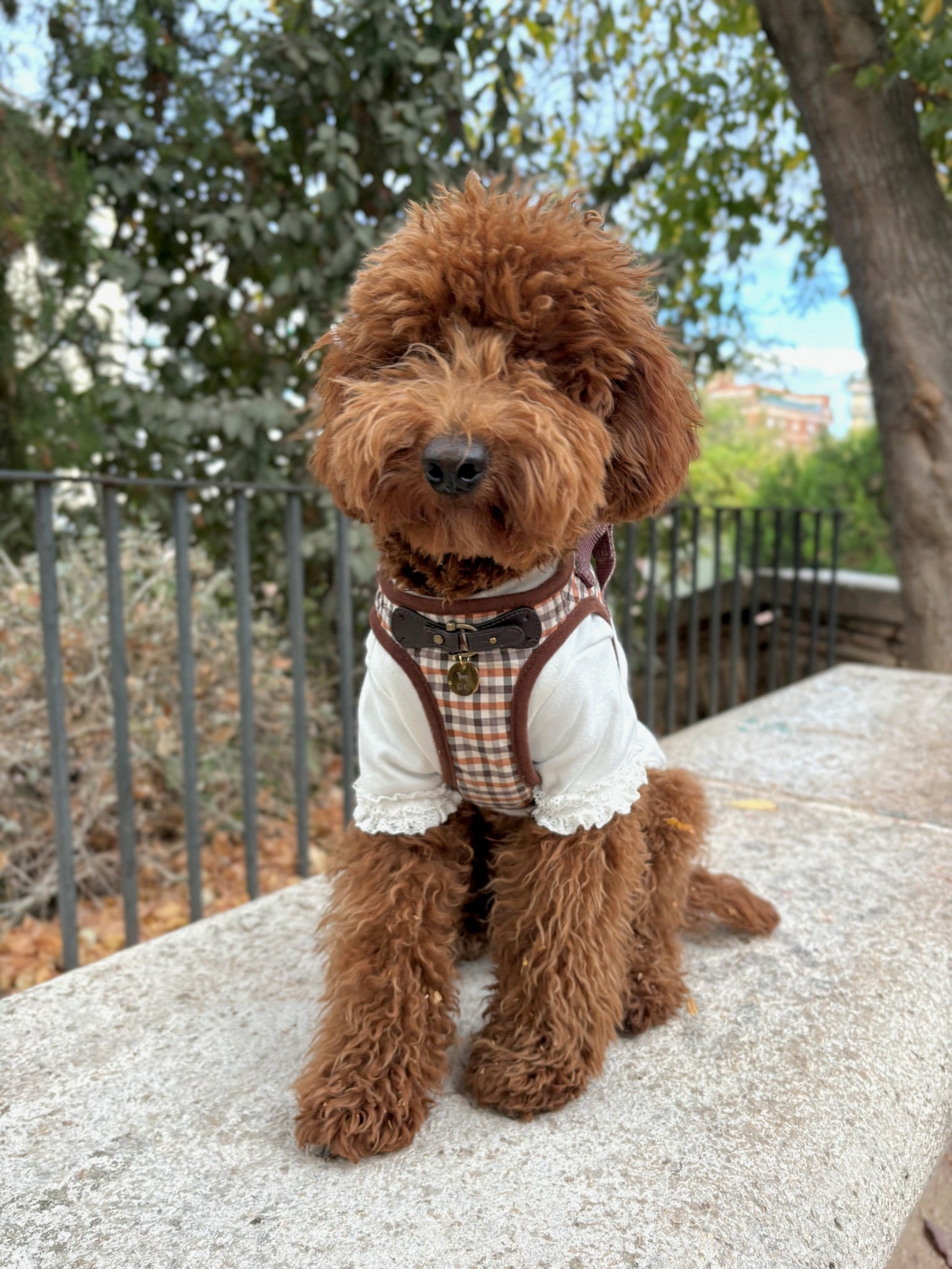 Camiseta Mónaco