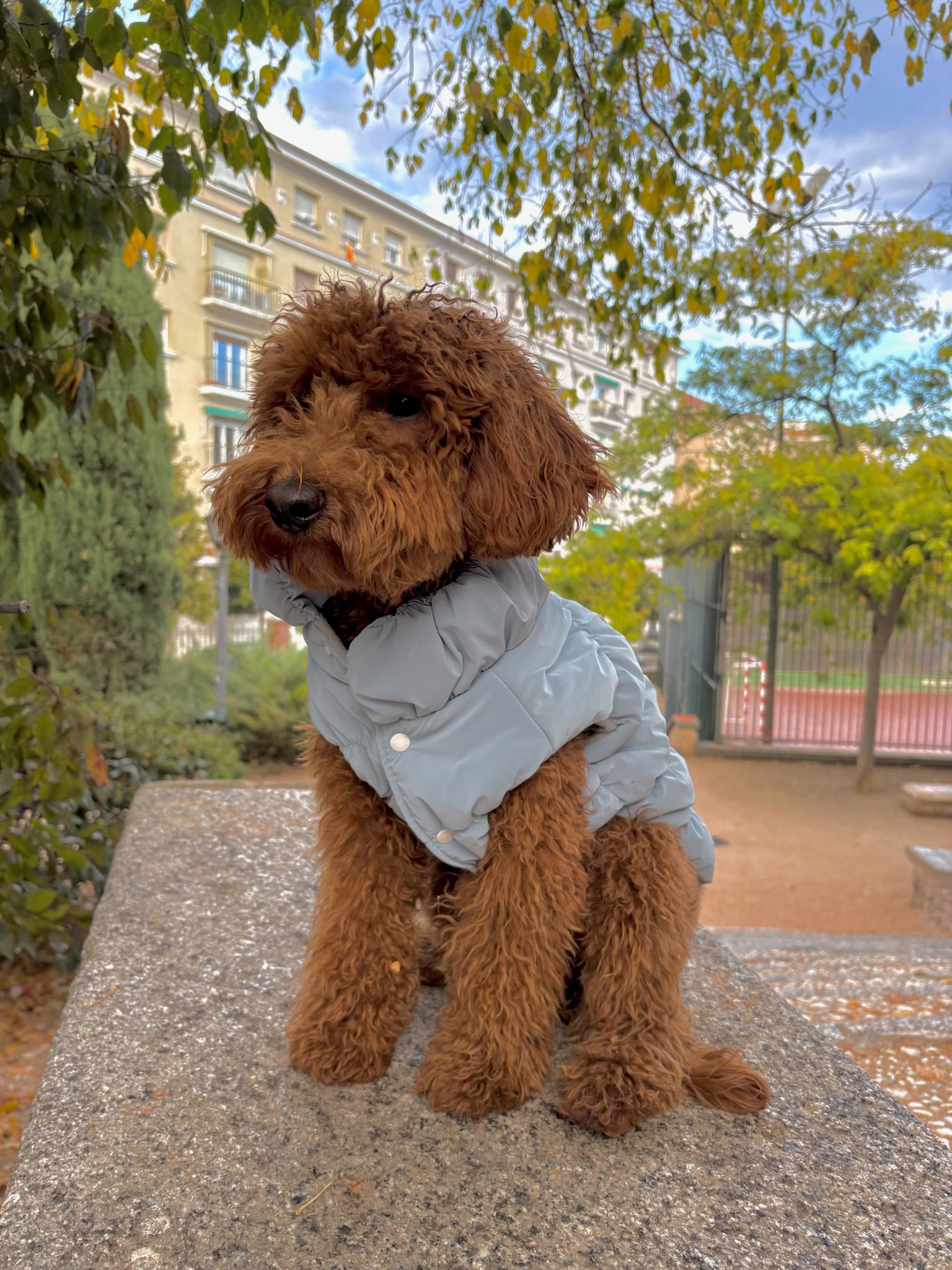 Abrigo Montecarlo
